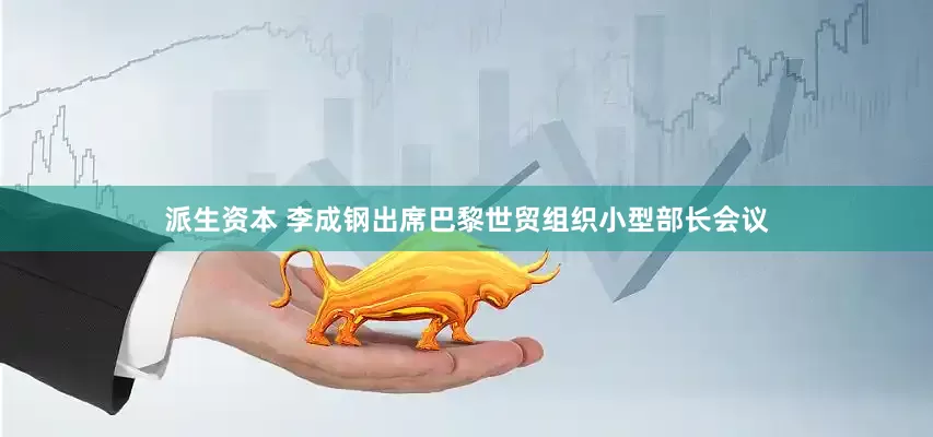 派生资本 李成钢出席巴黎世贸组织小型部长会议